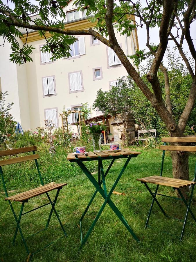 Combles & Vous Apartamento Colmar Exterior foto