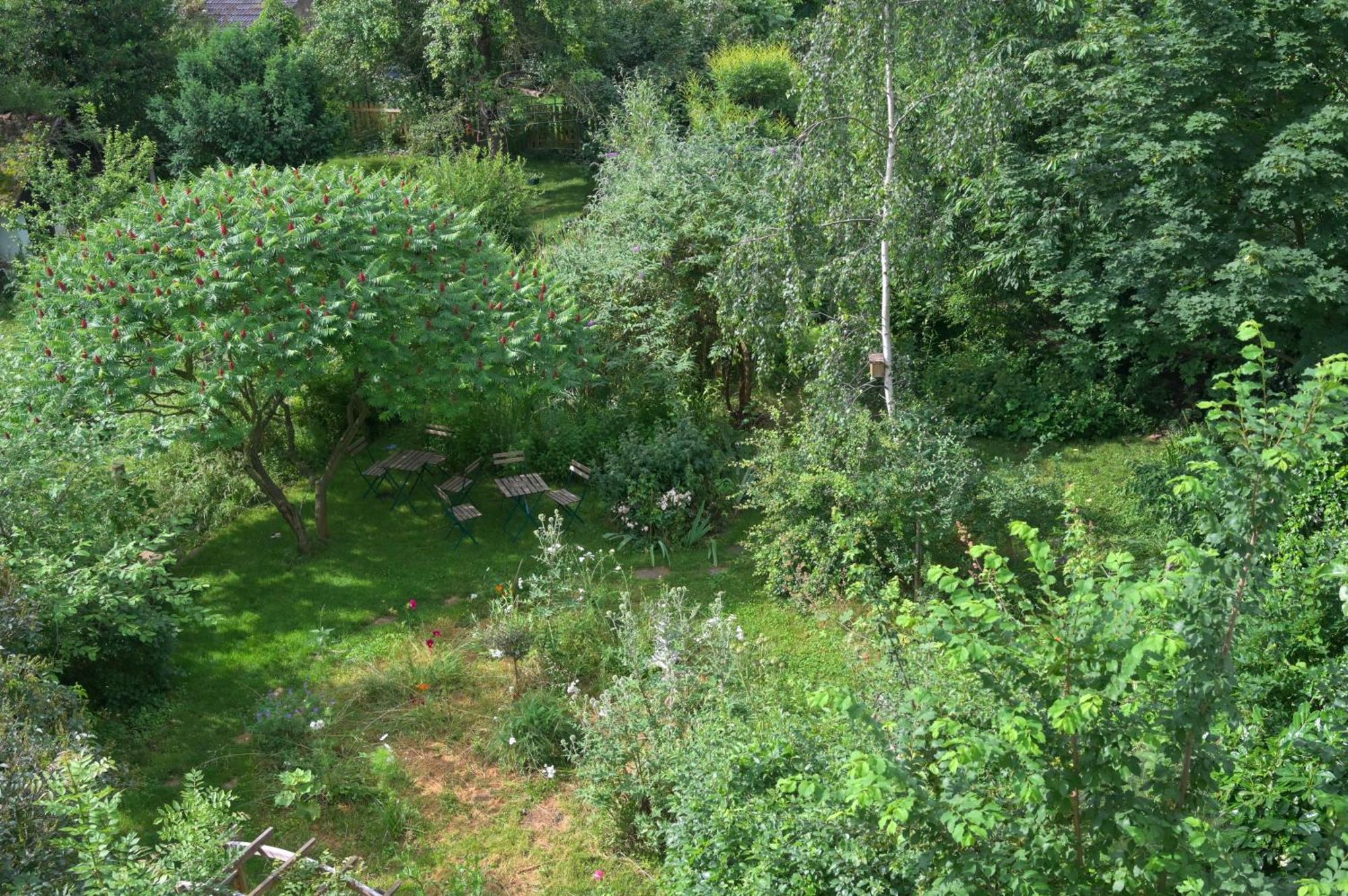 Combles & Vous Apartamento Colmar Exterior foto